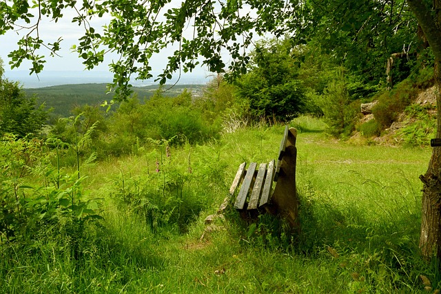 罗马带来长 罗马带来长