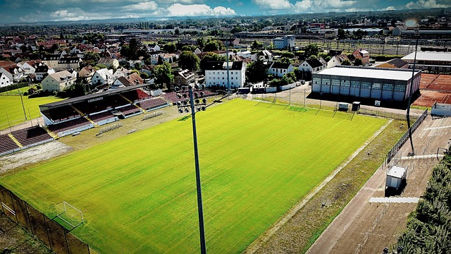 成为国羽一 成为国羽一